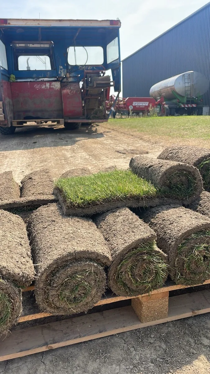 Roll out grass - Image 2