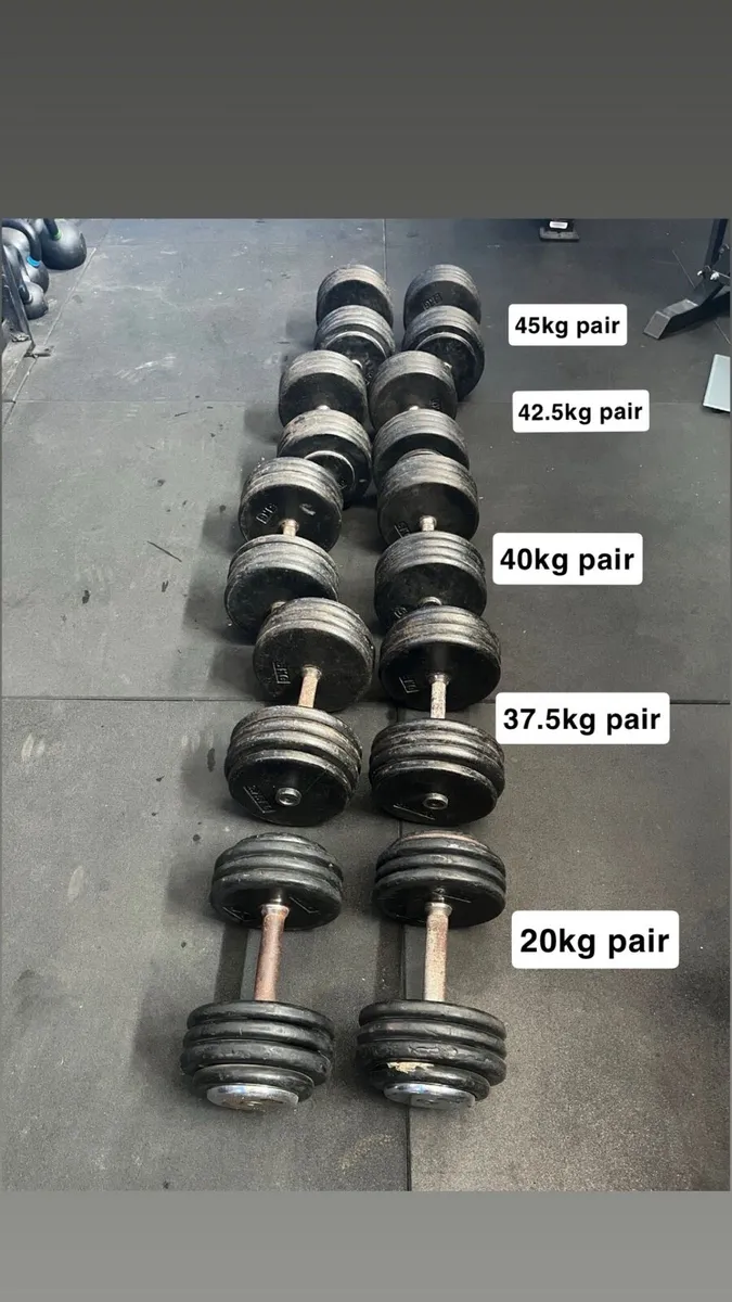 Dumbells Set (370kg Total) - Image 1