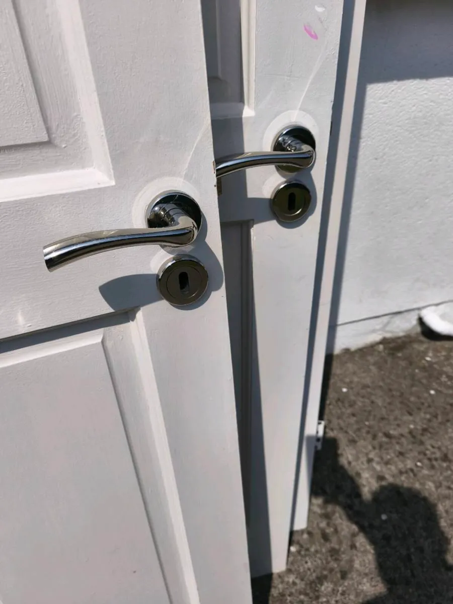 Doors - Image 3