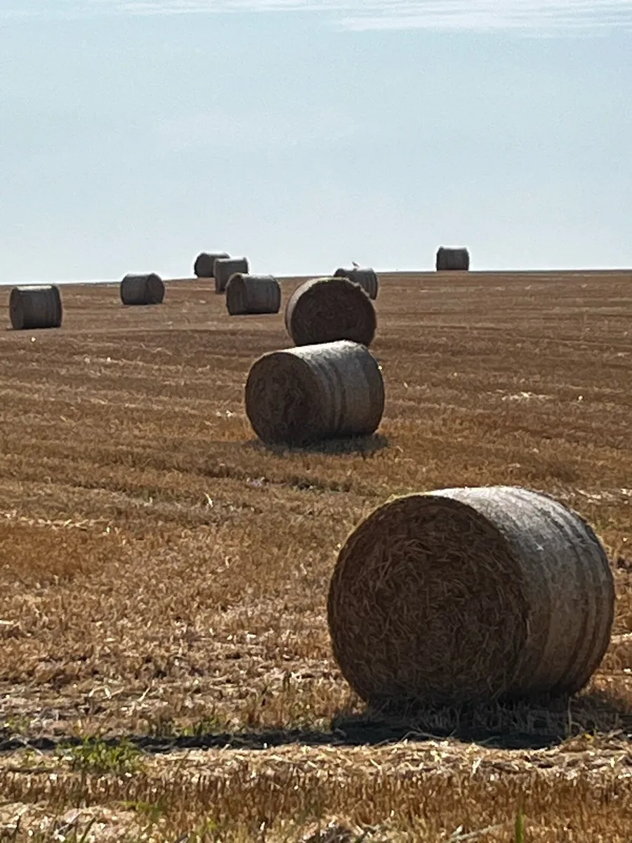 Straw - Image 1