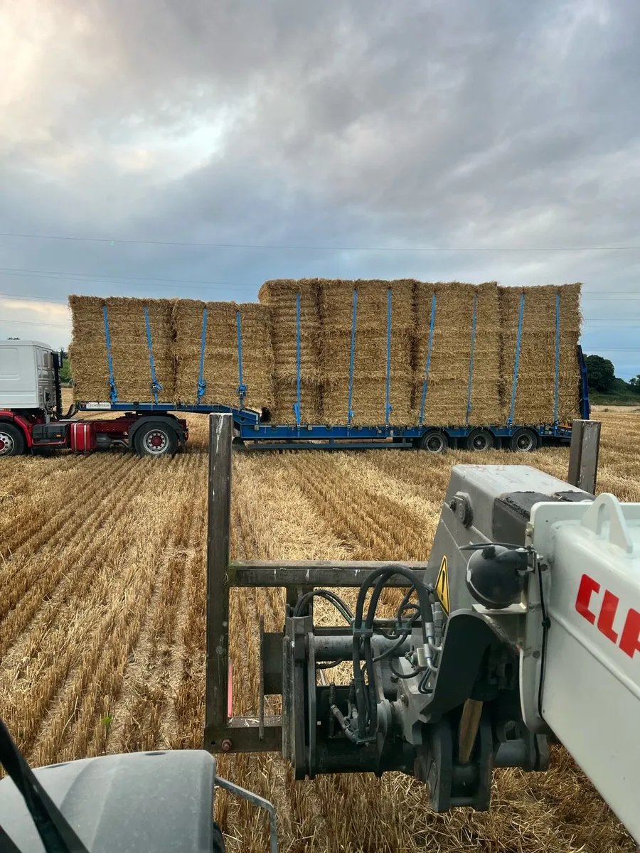 Straw - Image 2