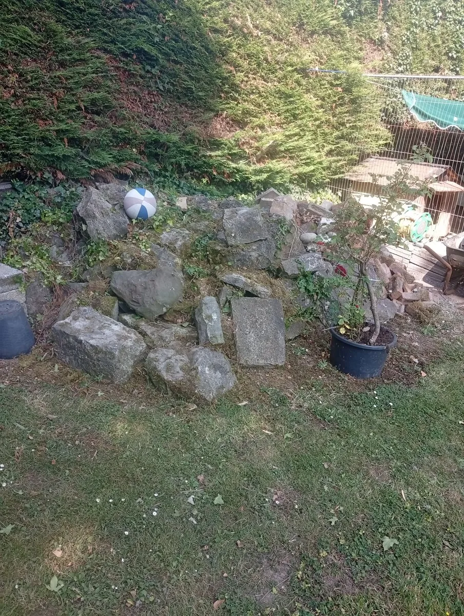 Stone - Image 4