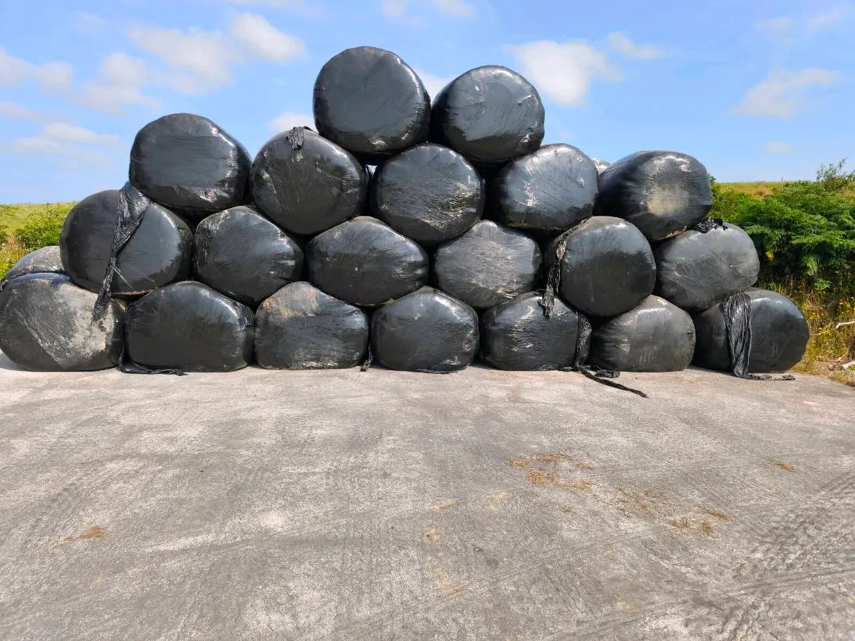 Haylage - Suitable for Horses & Alpacas - Image 2