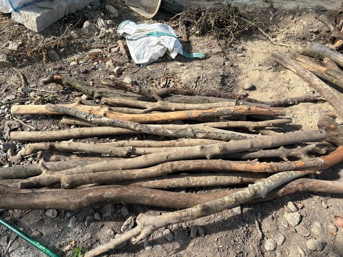 Large Load of Seasoned Firewood Logs – €350 ONO - Image 3