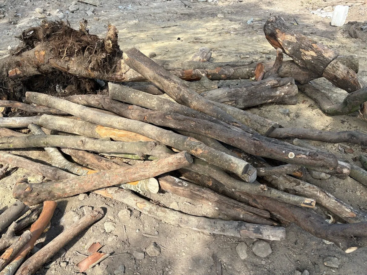 Large Load of Seasoned Firewood Logs – €350 ONO - Image 2