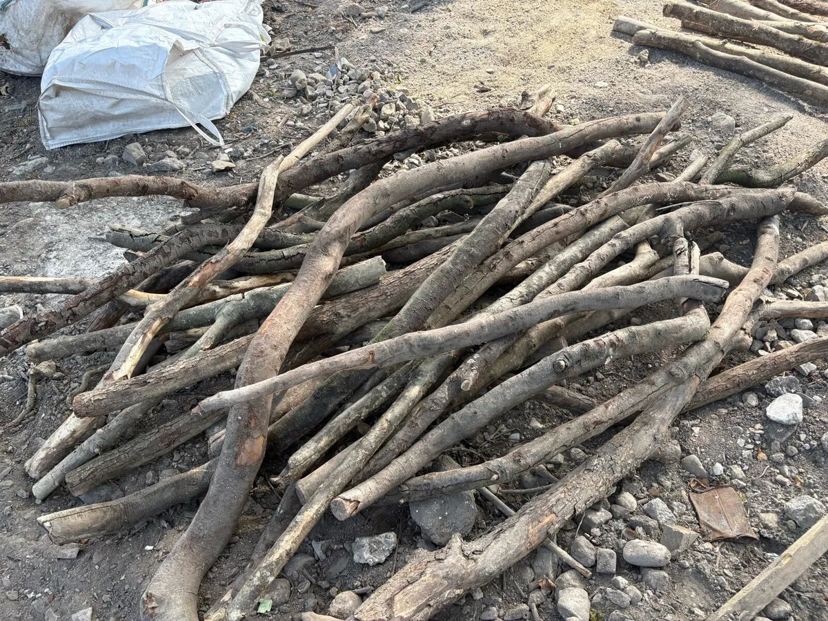 Large Load of Seasoned Firewood Logs – €350 ONO - Image 4