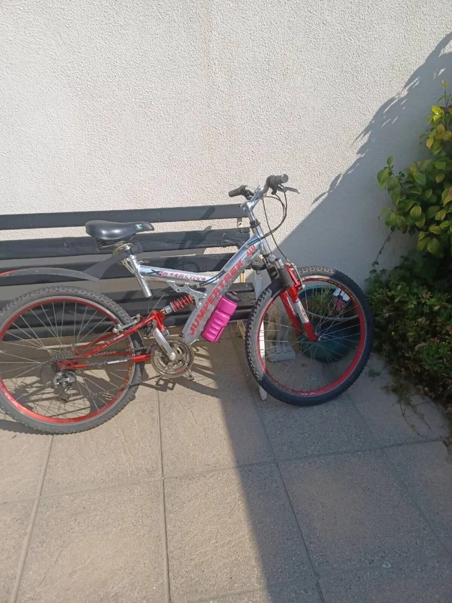Ladies Mountain Bike - Image 1