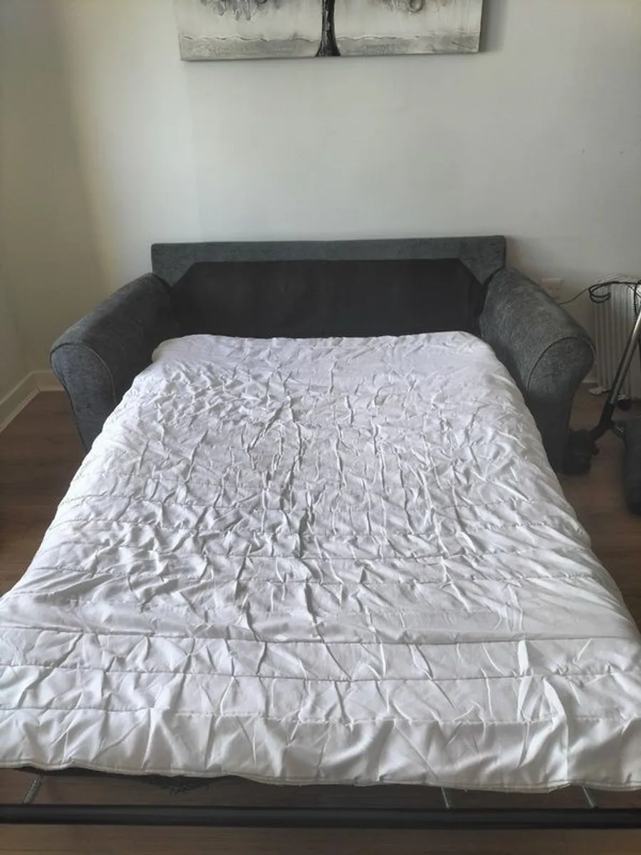 3 Seater sofa and a +2 Seater Sofabed - Image 3
