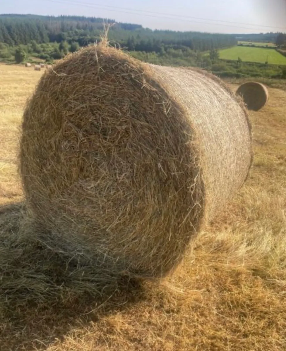 Hay bales