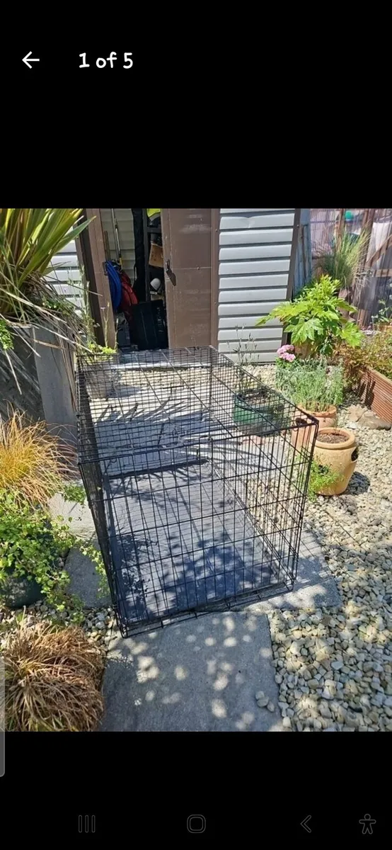 Dog crate - Image 1