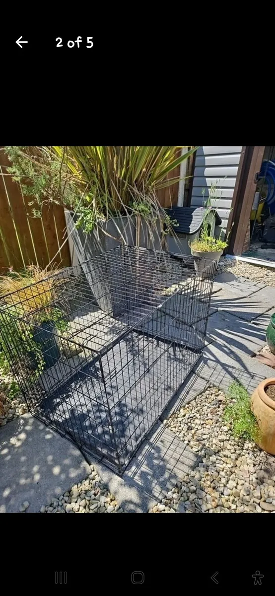 Dog crate - Image 2