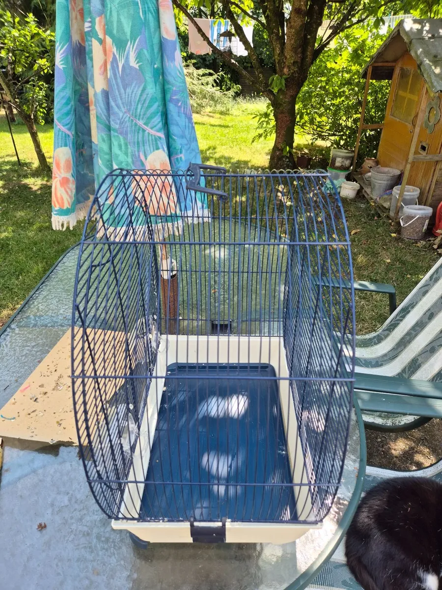 Bird cage - Image 2