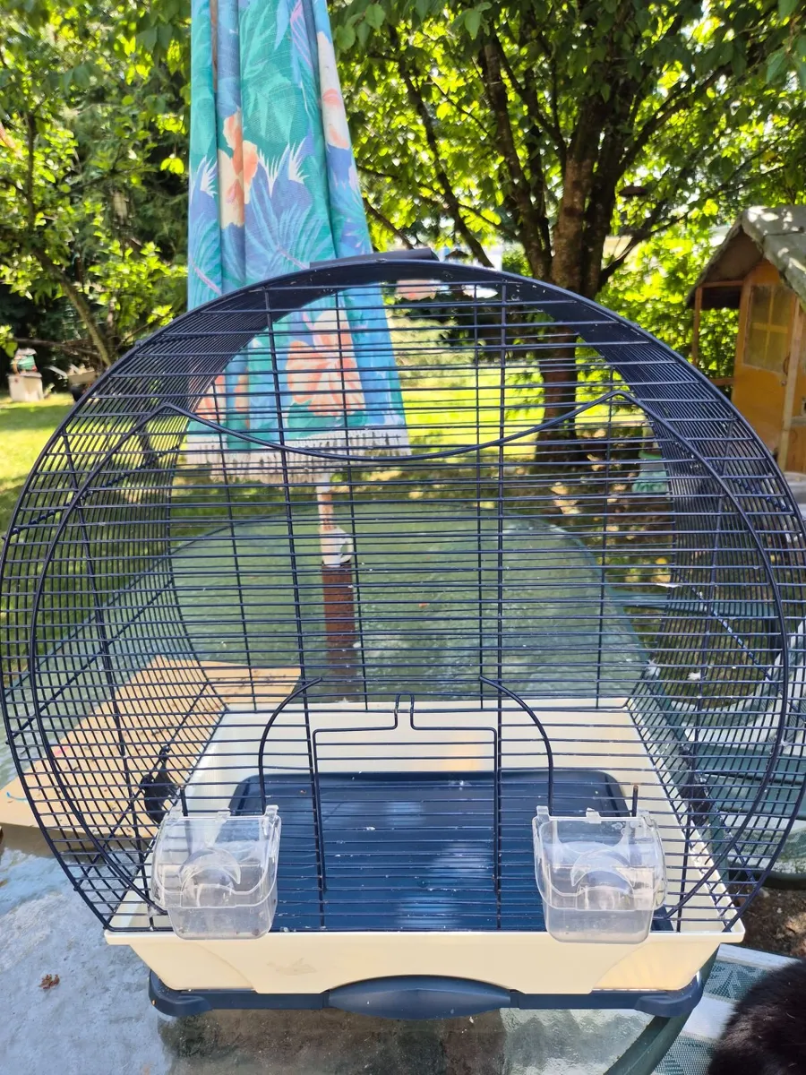 Bird cage - Image 1