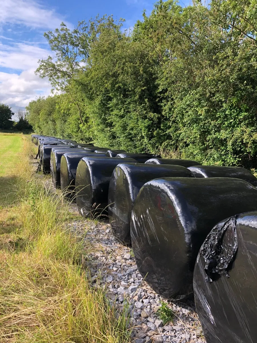 Silage - Image 1