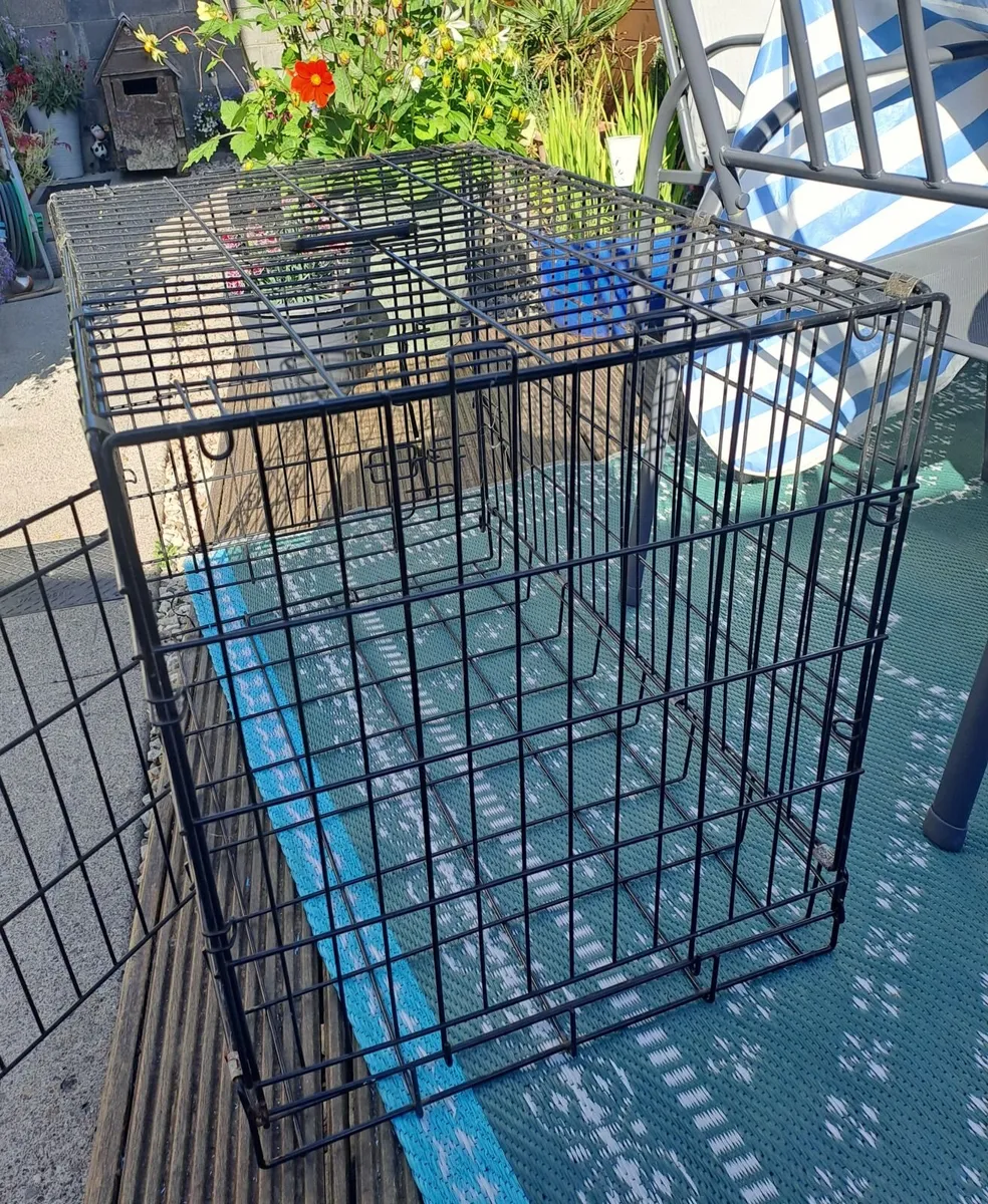 Dog crate - Image 1