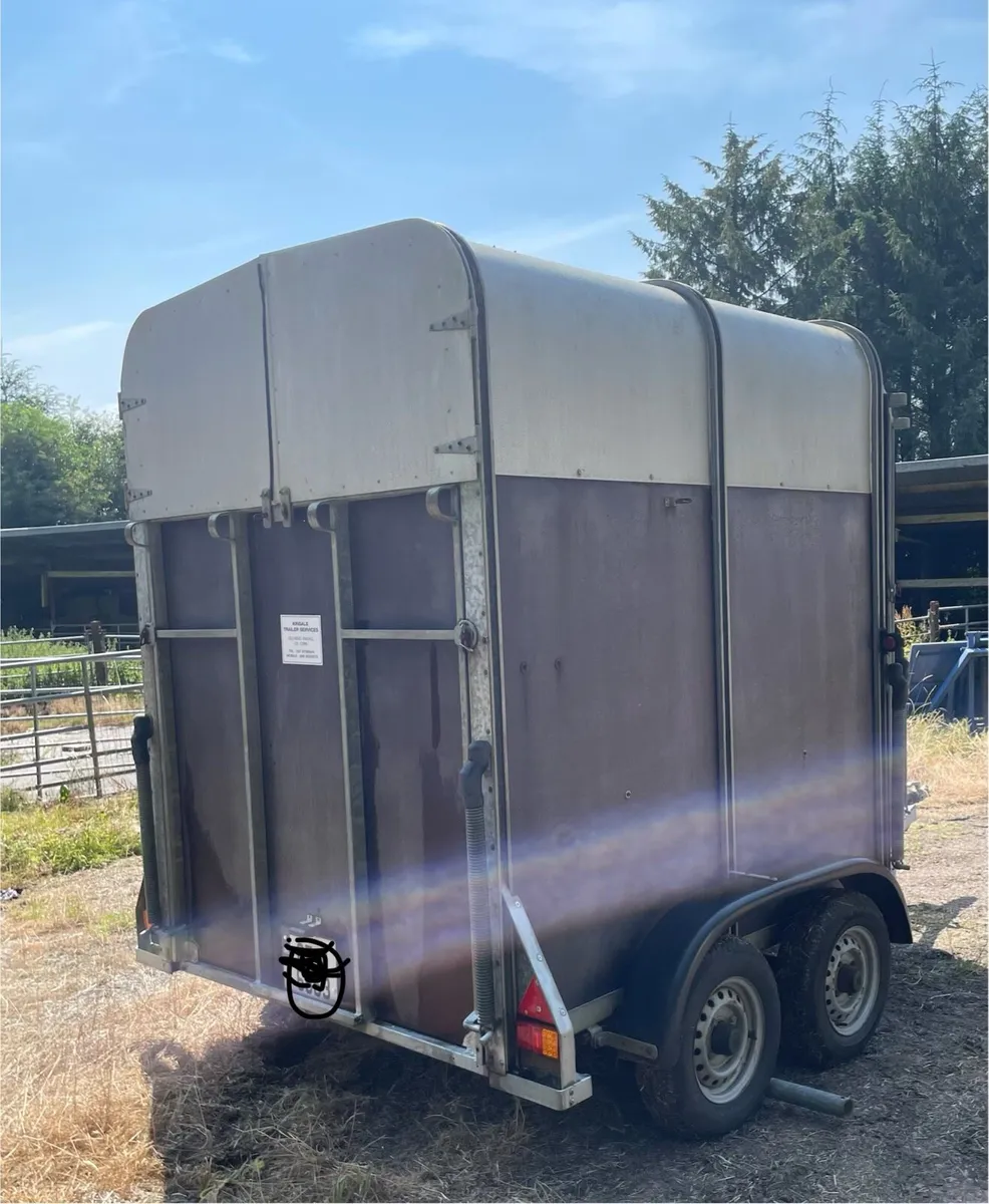 Ifor Williams horse box - Image 4