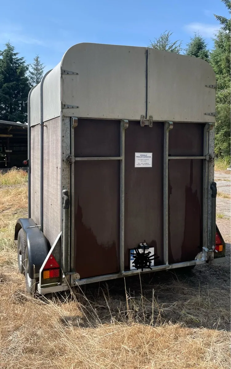 Ifor Williams horse box - Image 3
