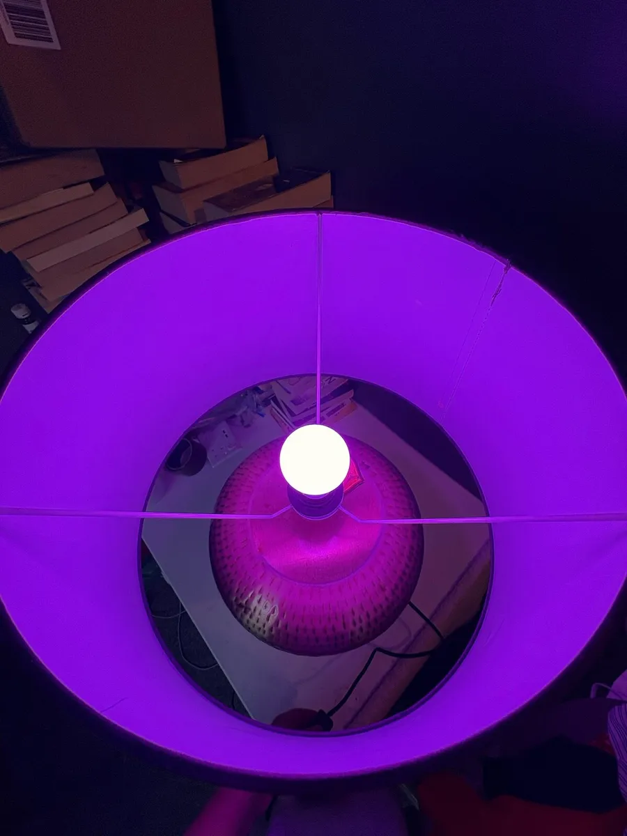 Lamp - Image 2