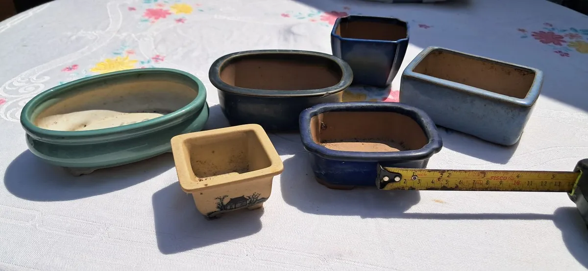 Bonsai Dishes