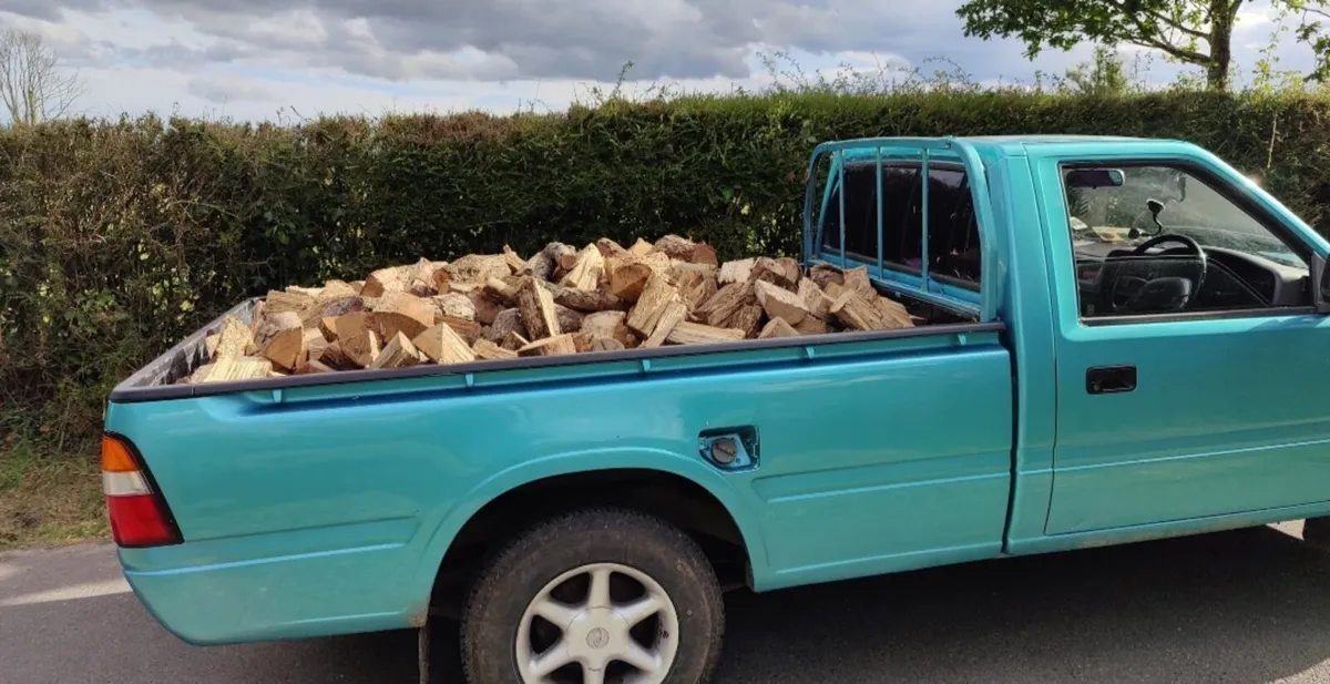 Firewood - Image 2