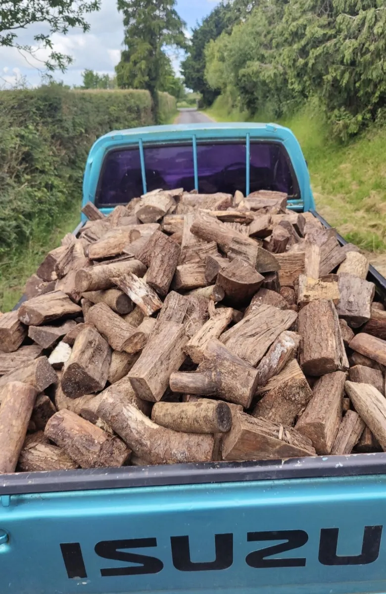 Firewood - Image 3
