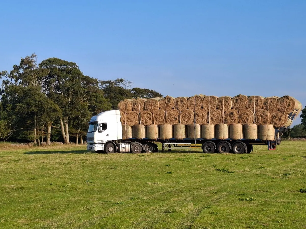 Round bales of june hay top quality - Image 1