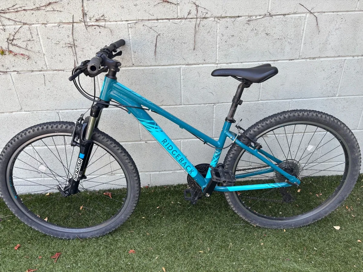 RIDGEBACK TERRAIN 2 MOUNTAIN BIKE €175