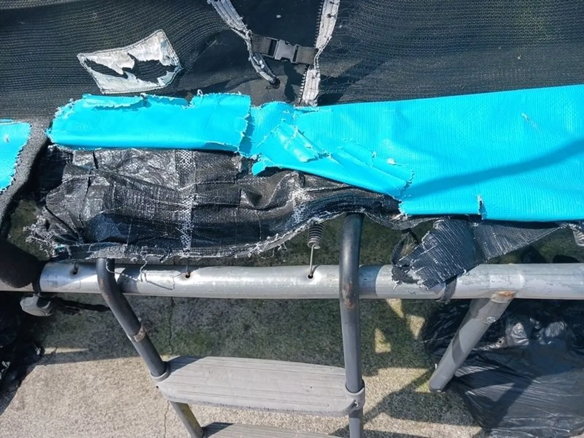Trampoline - Image 3