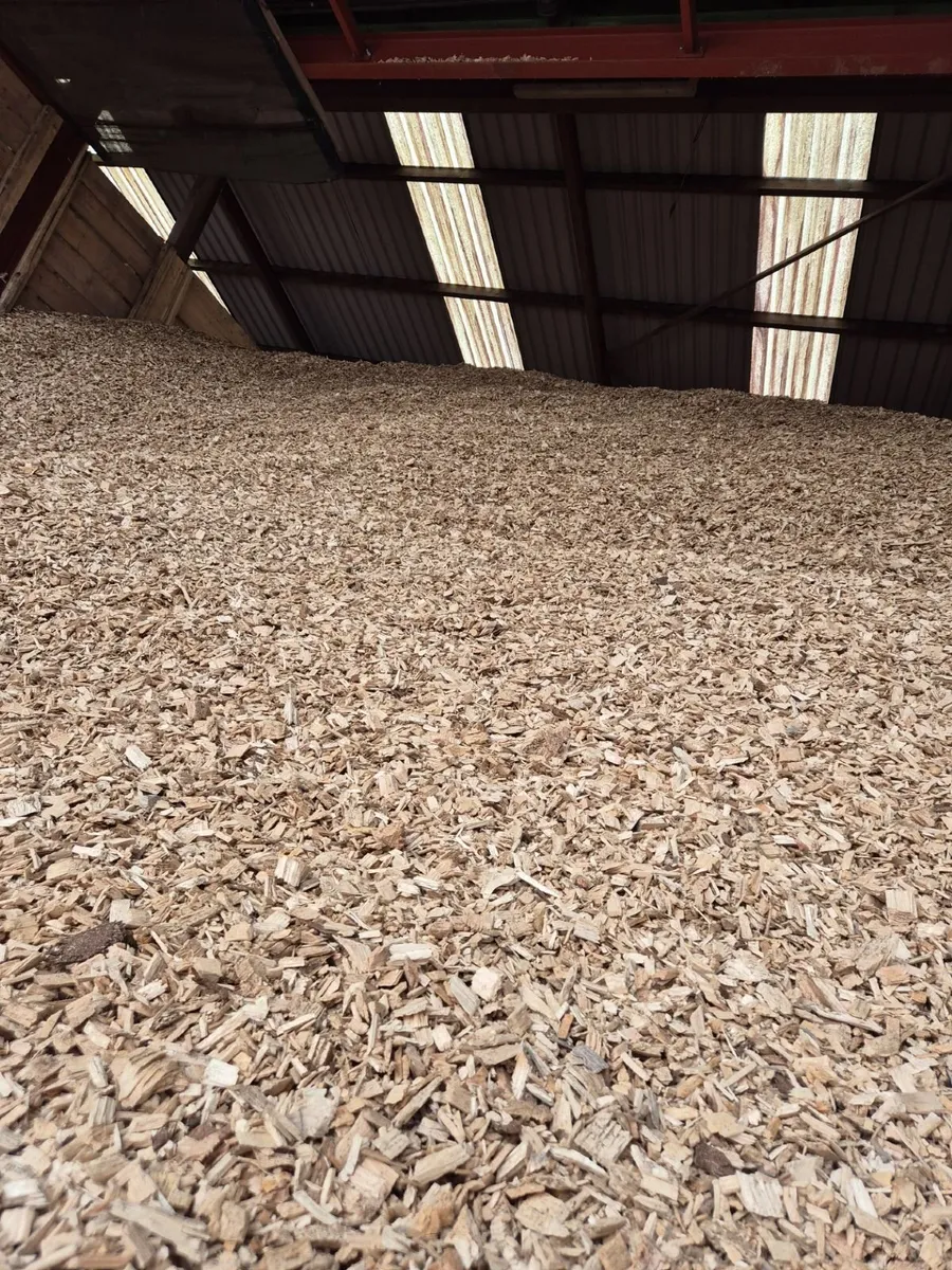 🔥 BULK LOOSE SOFTWOOD – 100m³ LOADS AVAILABLE 🔥 - Image 3