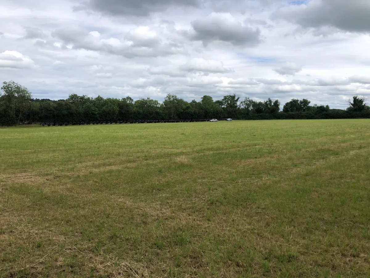 Silage - Image 3