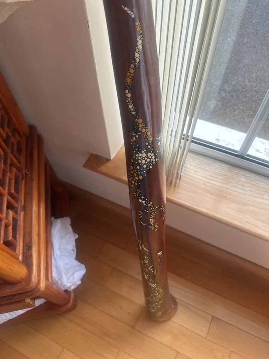 Hardwood Didgeridoo | Hand-Painted Goanna Artwork | Excellent Condition - Image 4