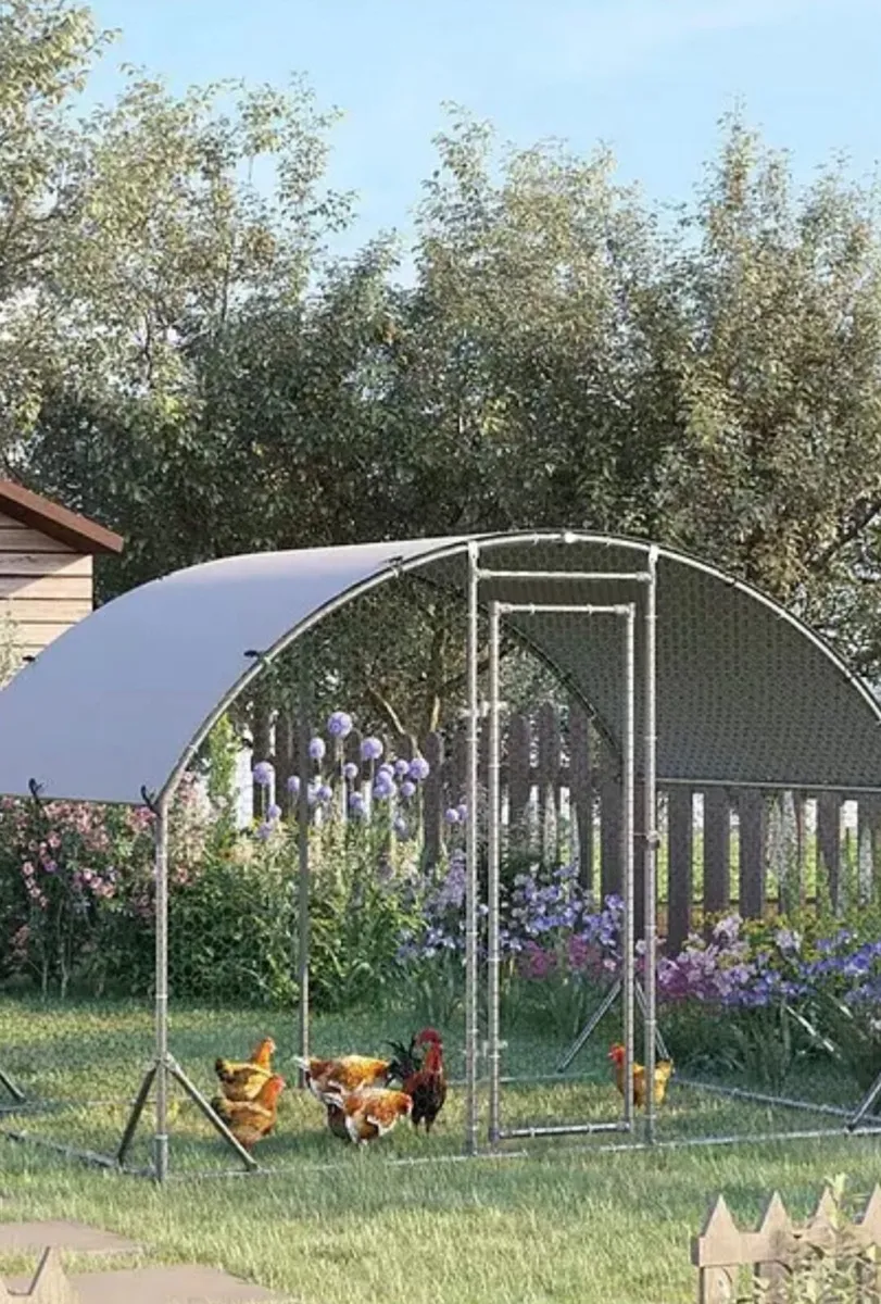 Chicken Run - Image 3