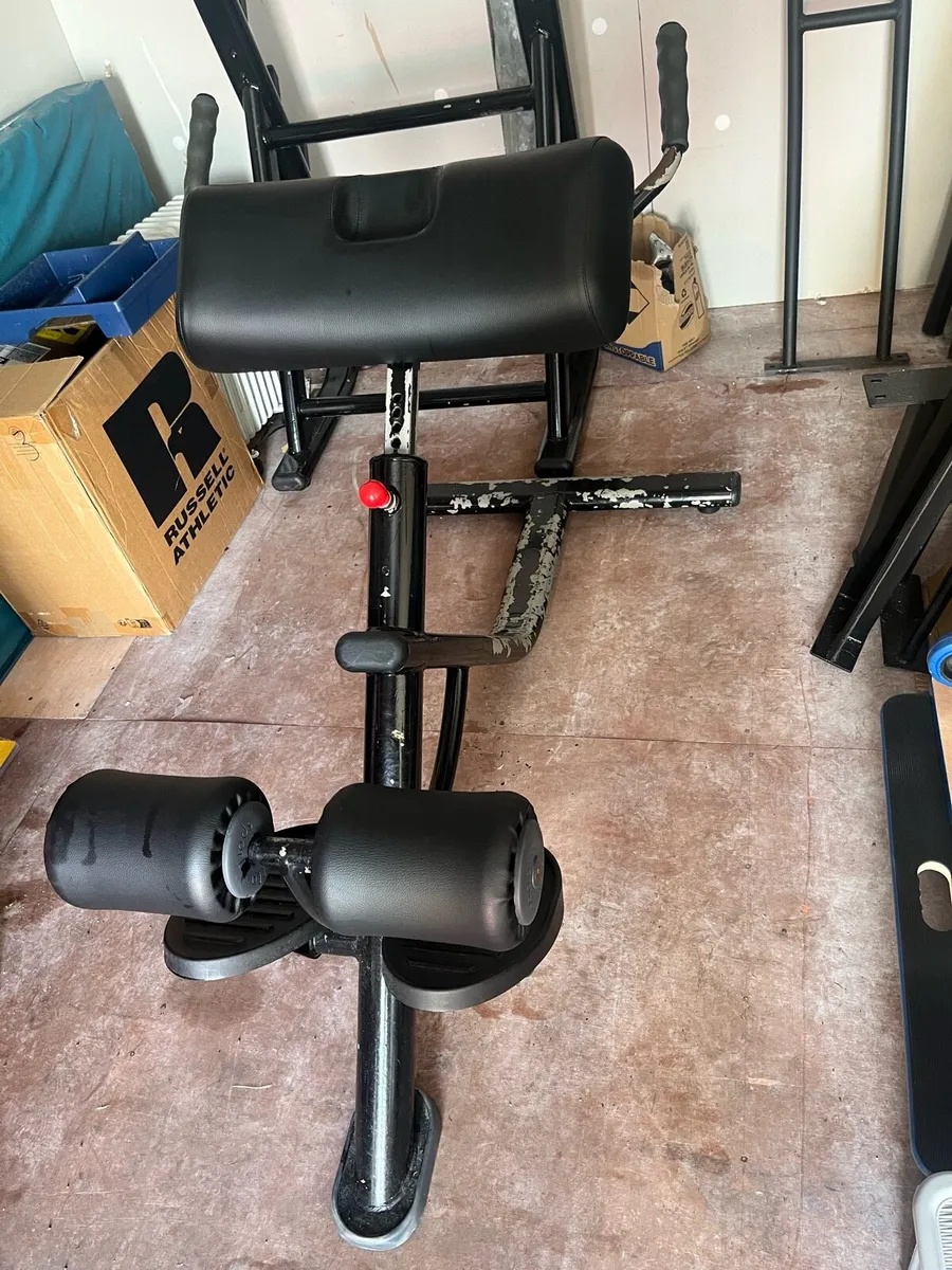 Panatta Back Extension