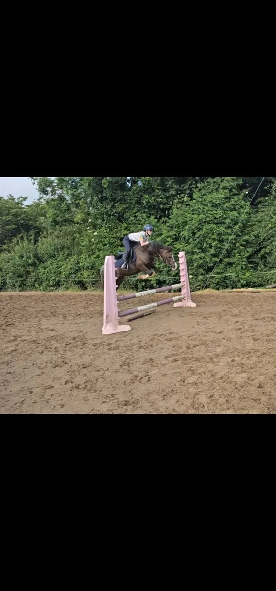 Smashing welsh 12.2 - Image 2