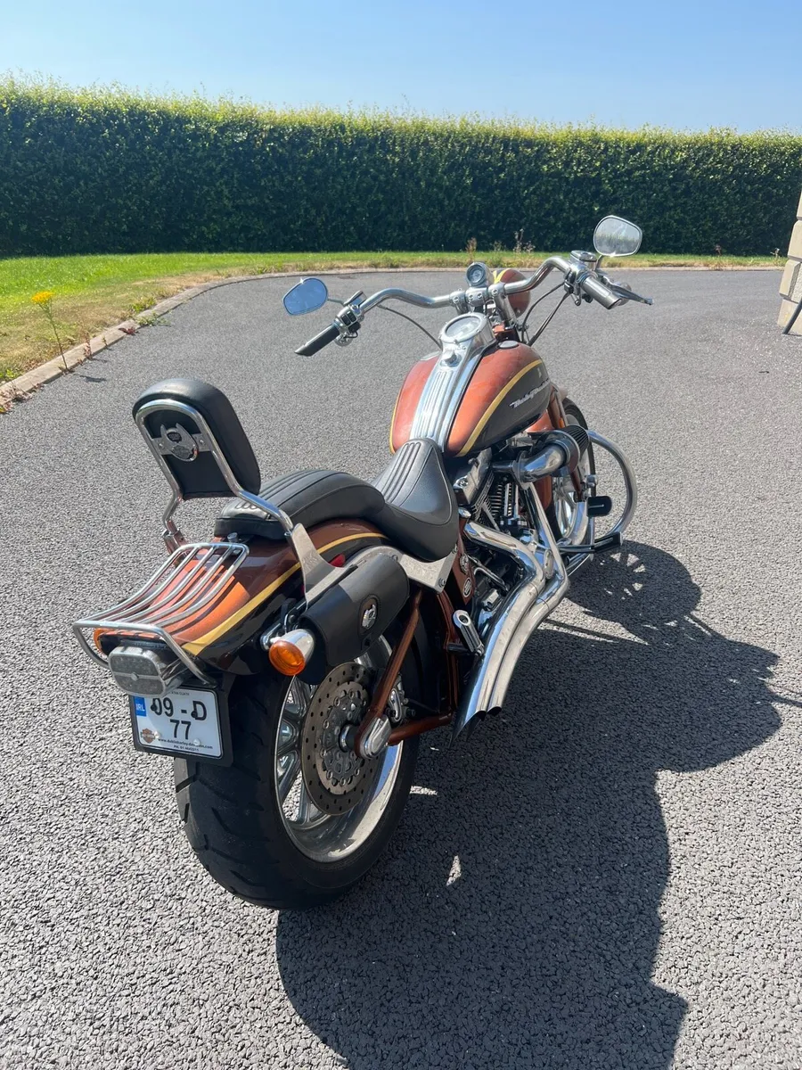 Harley Davidson CVO Springer Softtail - Image 3