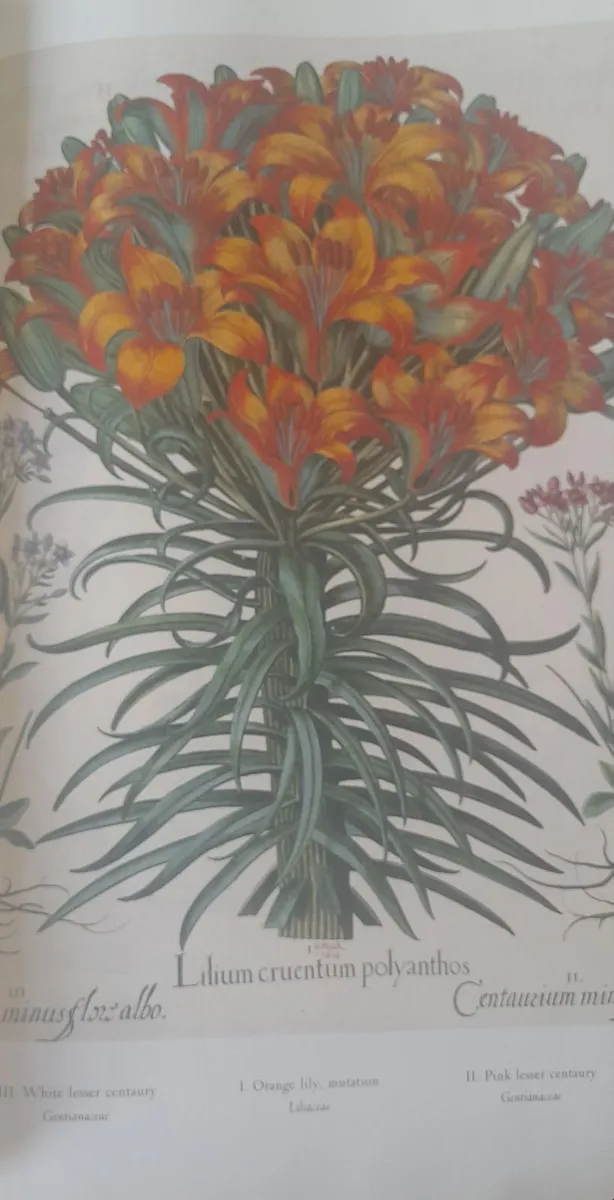 books - Image 4