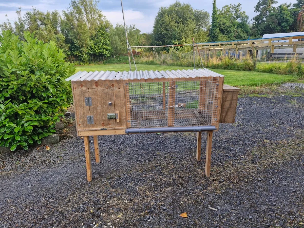 Quail house/ Rabbit hutch - Image 1