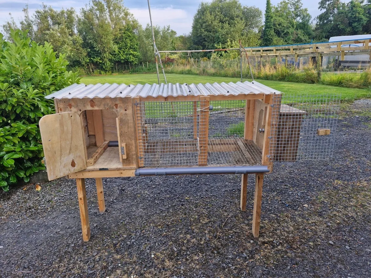 Quail house/ Rabbit hutch - Image 2