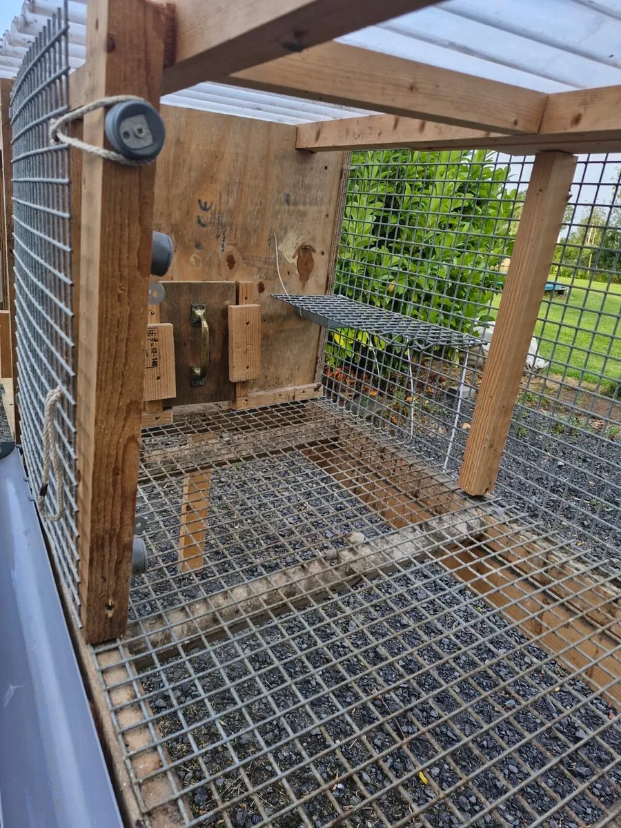 Quail house/ Rabbit hutch - Image 3