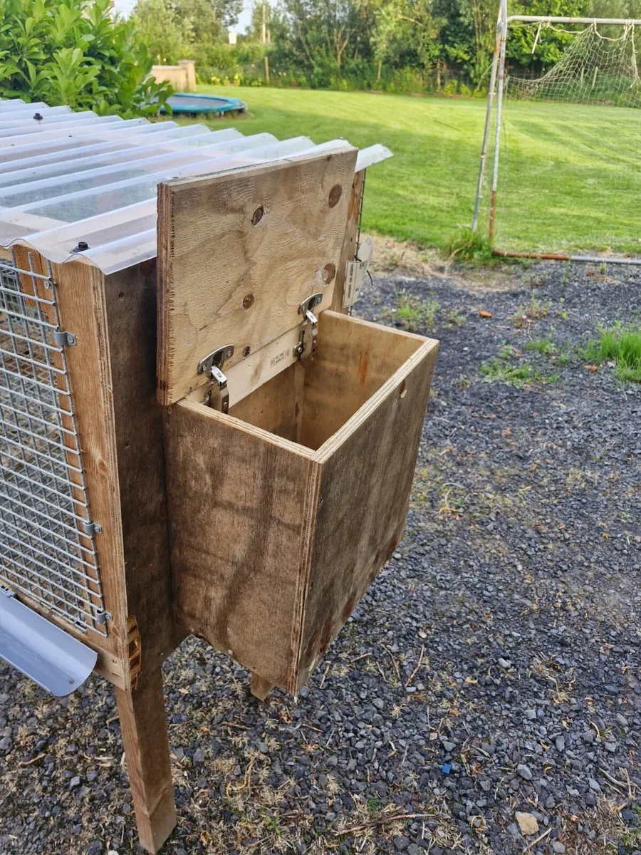 Quail house/ Rabbit hutch - Image 4