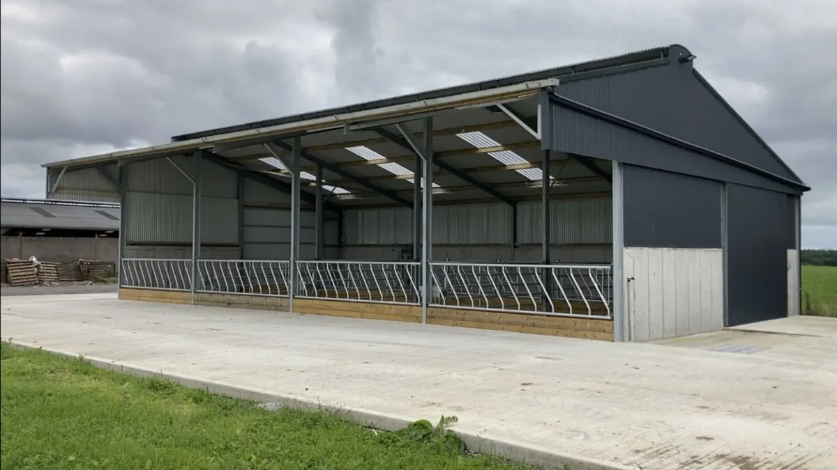 Slatted shed wanted