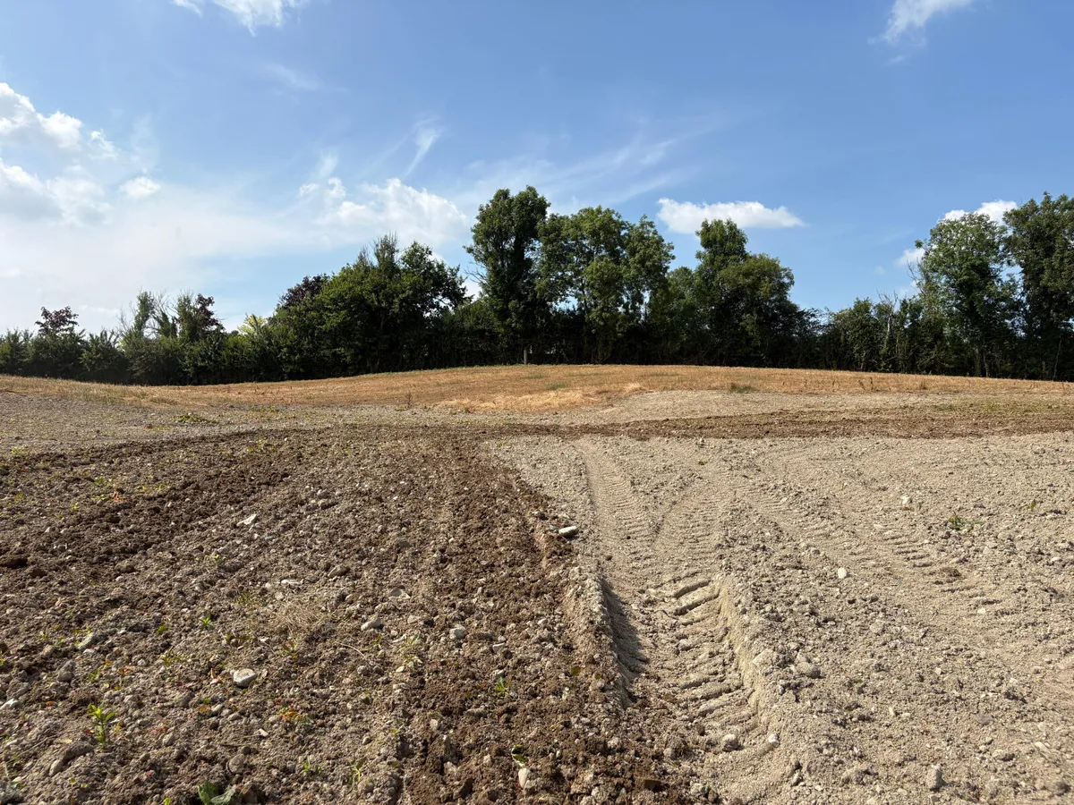 DISC HARROW - Image 3