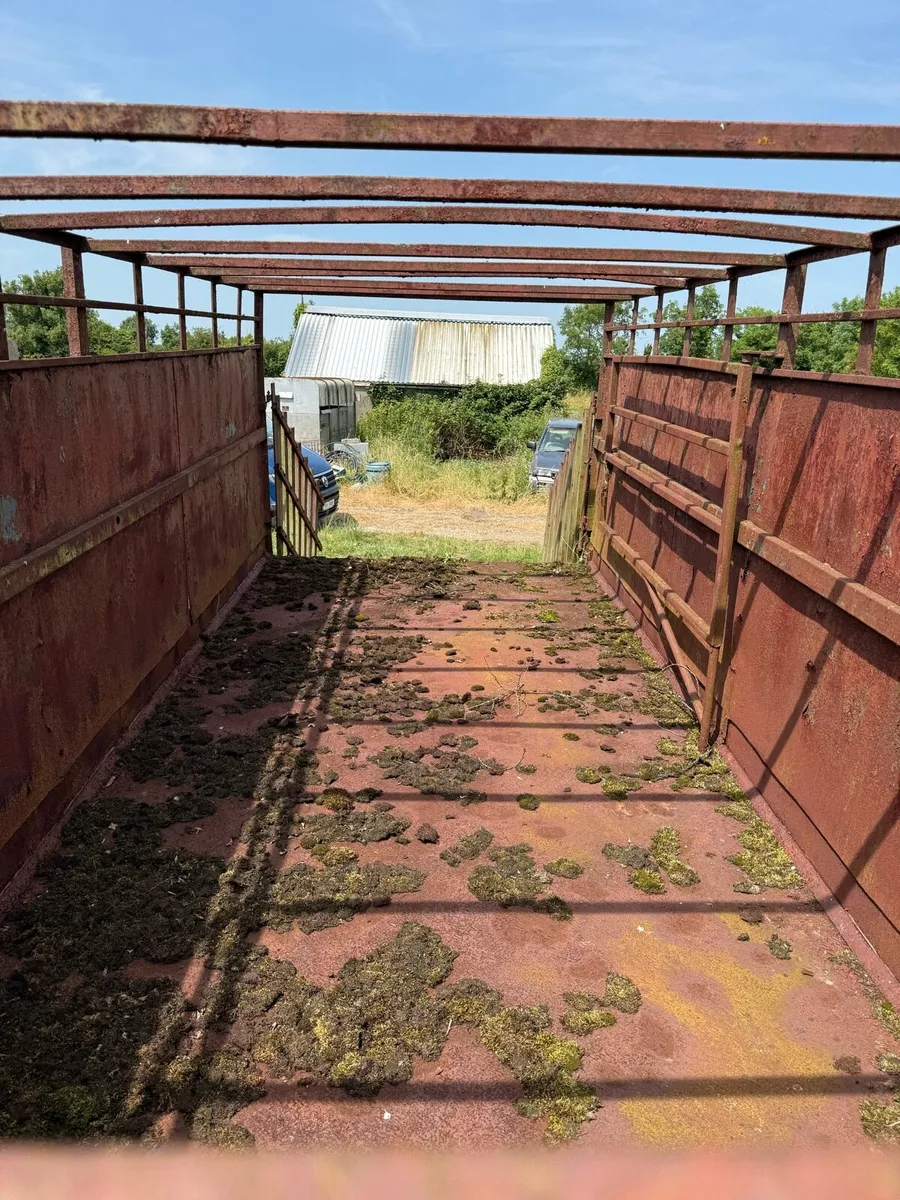 Cattle trailer tractor drawn - Image 3