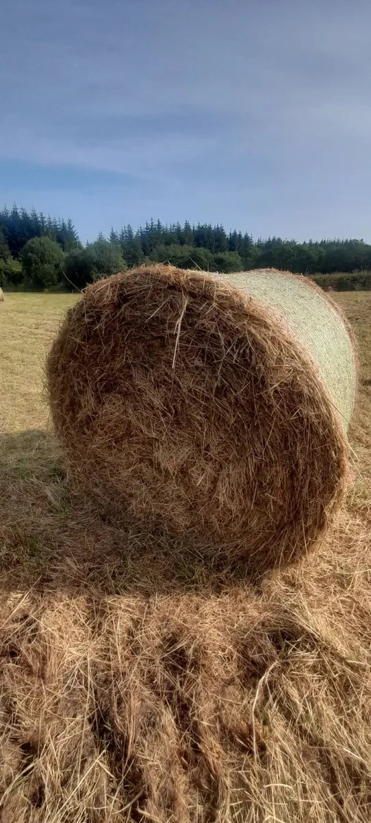 hay bales - Image 3