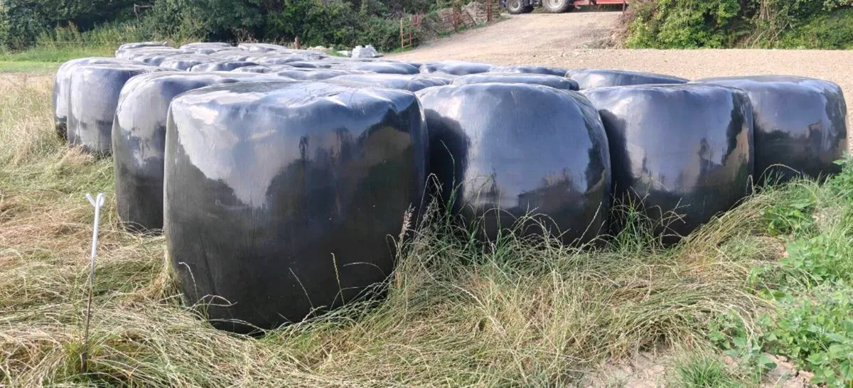 High Quality silage bales - Image 1