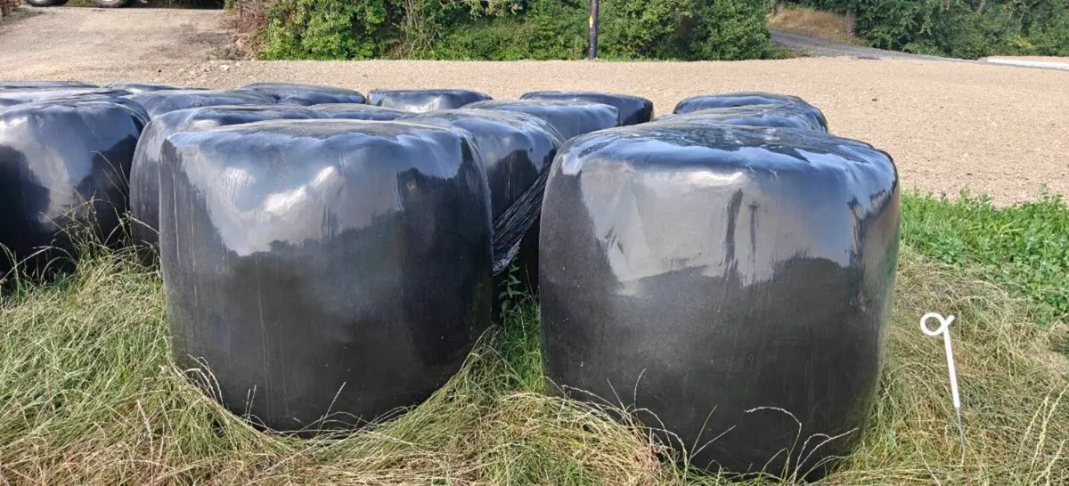 High Quality silage bales - Image 2