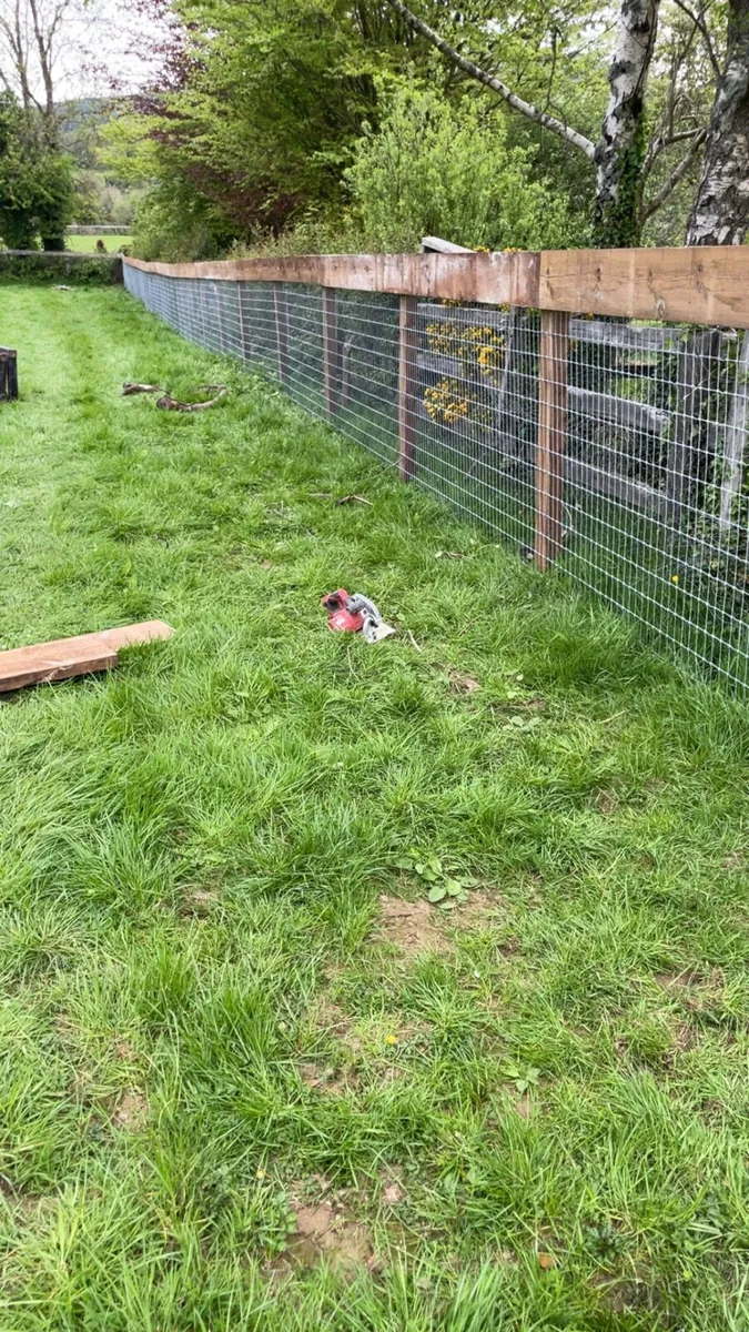 Fencing - Image 2