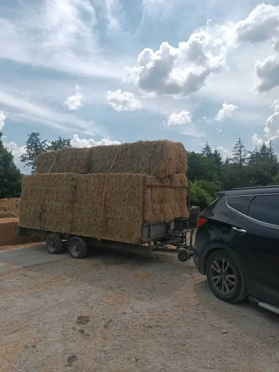 Big square bales of hay, haylage & silage - Image 2