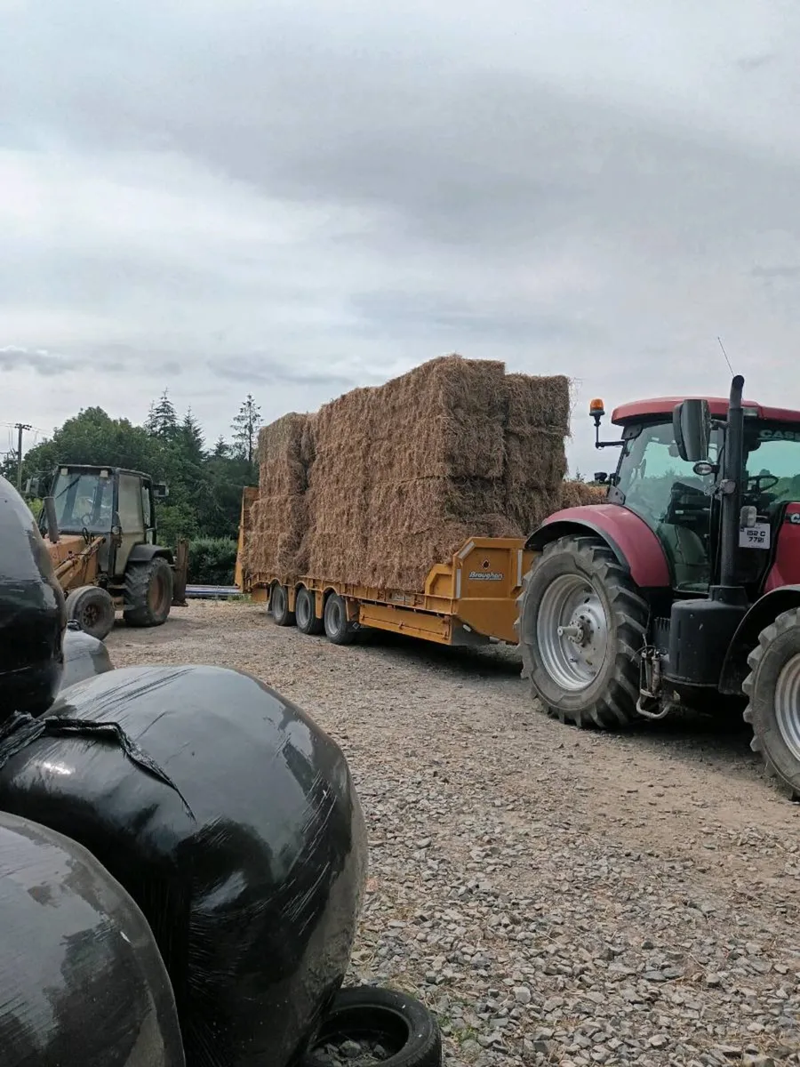 Big square bales of hay, haylage & silage - Image 3