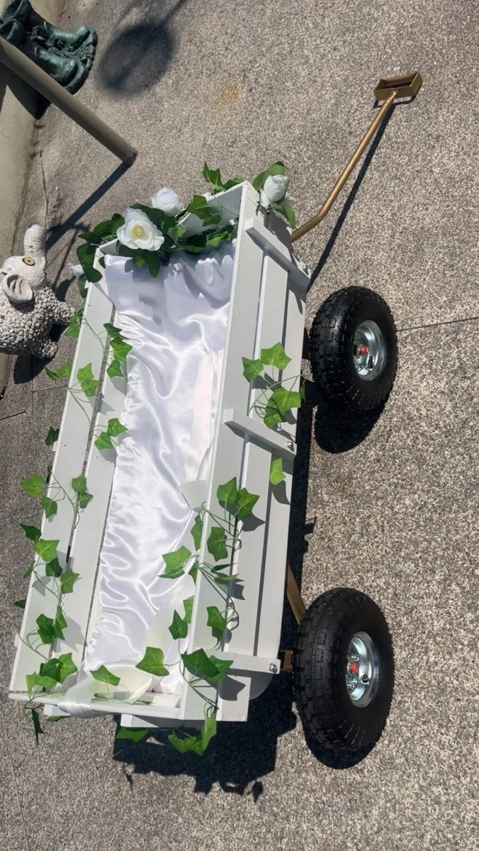 Cart - Image 1
